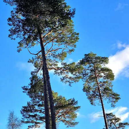 度假居 Direkt Am Uckermark *