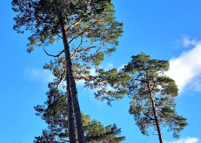 Semesterbostad Direkt Am Uckermark *